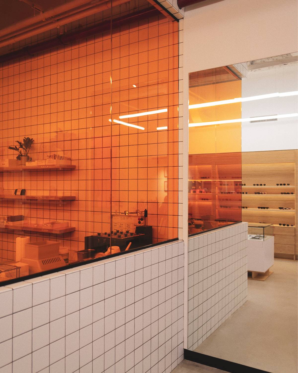 Niche Sunglasses Garrett Leight Store New York