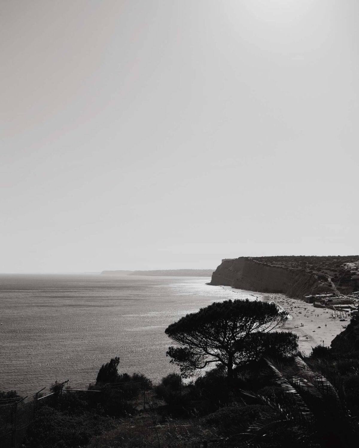 Algarve City Guide