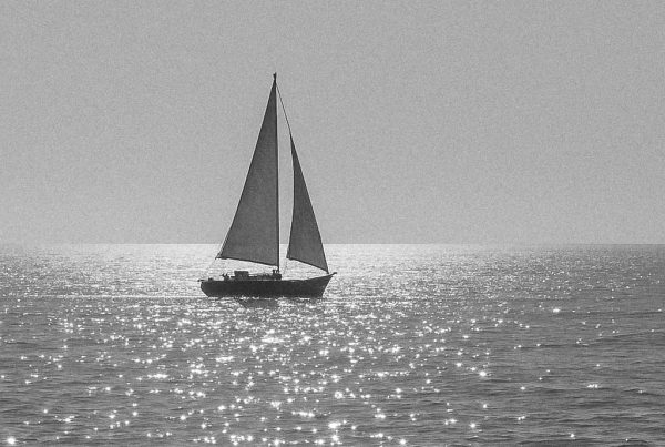 The Art of Summer Distance Issue 02